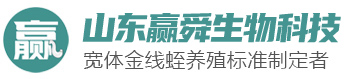 ys_01 摇钱树娱乐